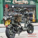 50cc Parachute Bike For Sale (12)